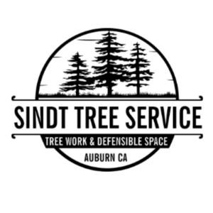 Sindt Tree Service