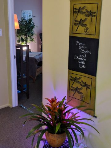 Car Accident Injury Chiropractor in Salt Lake City, Utah